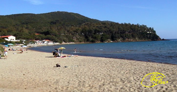 Spiaggia Di Lacona Isola D Elba